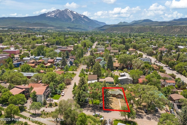 734 Cleveland Ave, Carbondale, CO 81623