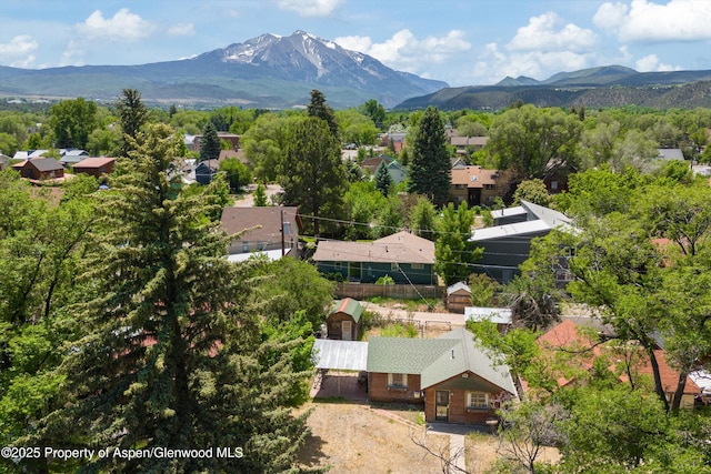 734 Cleveland Ave, Carbondale, CO 81623