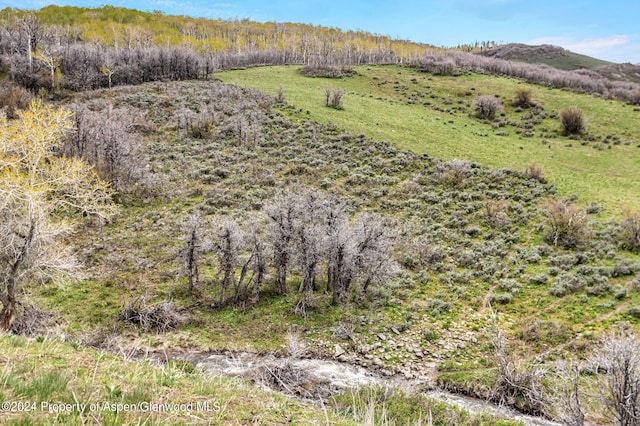 Listing photo 3 for TBD County Road 80, Hayden CO 81639