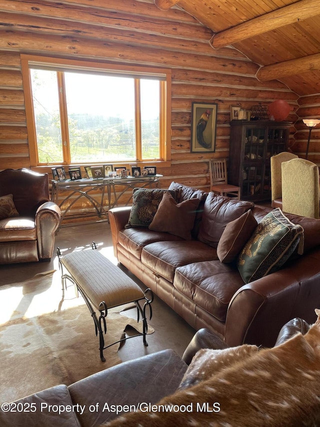 14255 County Road 730, Gunnison, CO 81230 - photo 17