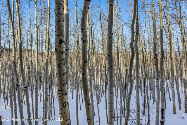 view of snowy landscape