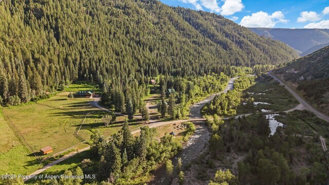 27711 County Road 12, Somerset, CO 81434 - photo 35