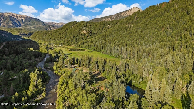27711 County Road 12, Somerset, CO 81434 - photo 51