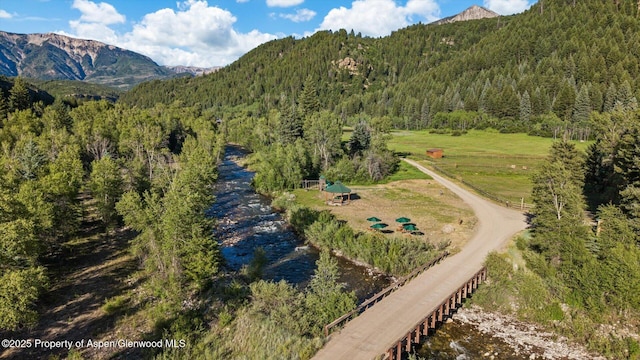 27711 County Road 12, Somerset, CO 81434 - photo 54
