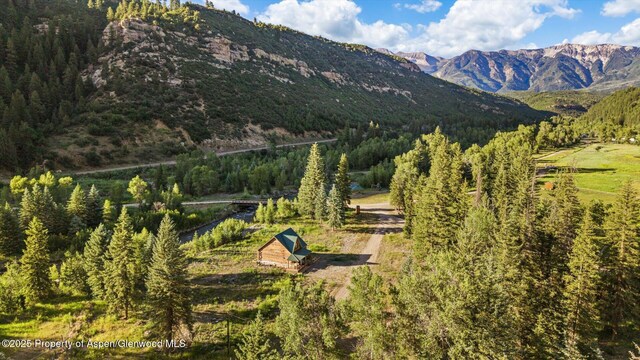 27711 County Road 12, Somerset, CO 81434 - photo 40