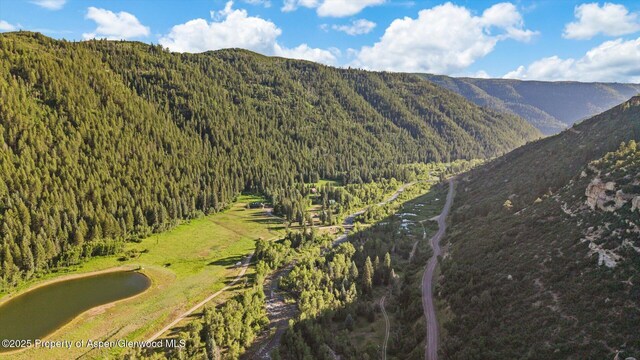 27711 County Road 12, Somerset, CO 81434 - photo 56