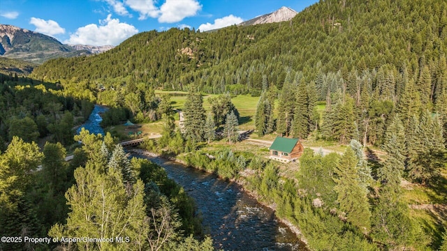 27711 County Road 12, Somerset, CO 81434 - photo 5
