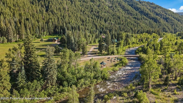 27711 County Road 12, Somerset, CO 81434 - photo 6