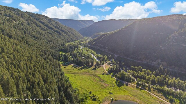 27711 County Road 12, Somerset, CO 81434 - photo 53