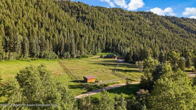 27711 County Road 12, Somerset, CO 81434 - photo 3