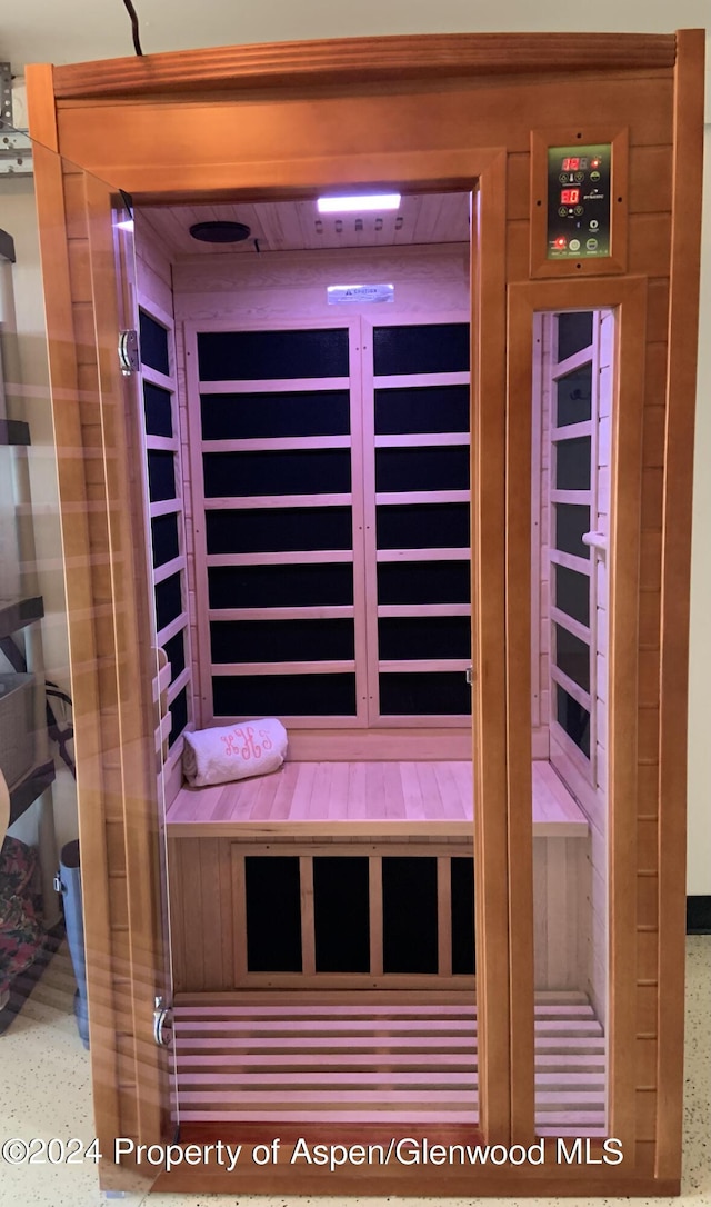 59 Herron Hollow Rd, Aspen, CO 81611 - view of sauna featuring speckled floor