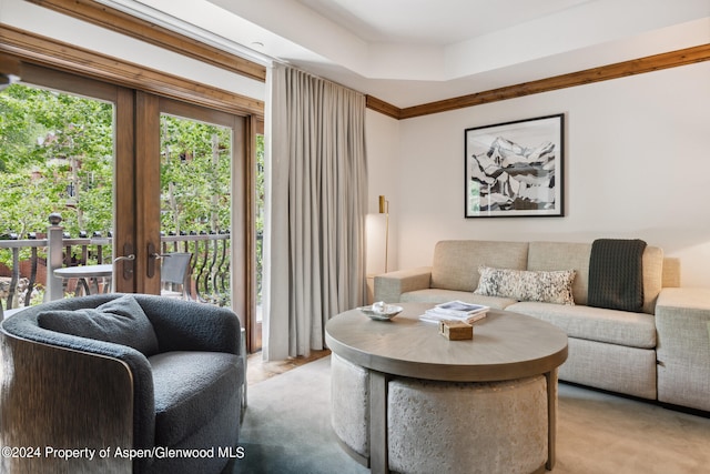 415 E Dean St Unit 32, Aspen, CO 81611 - living area with french doors