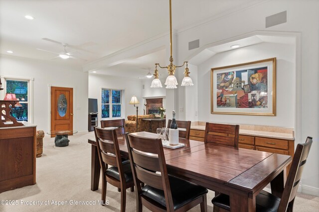 716 W Hallam St, Aspen, CO 81611 - photo 21