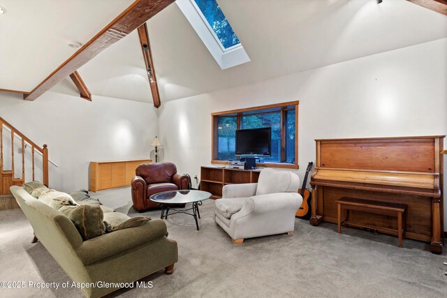 716 W Hallam St, Aspen, CO 81611 - photo 49