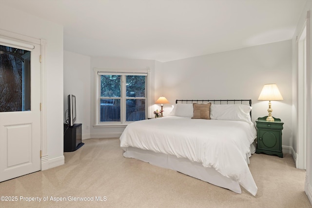 716 W Hallam St, Aspen, CO 81611 - photo 28