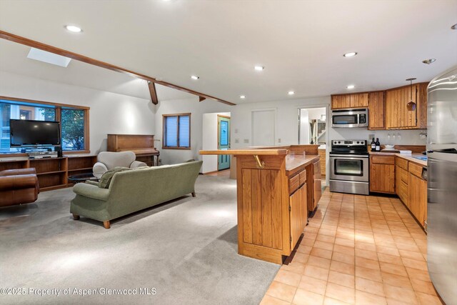 716 W Hallam St, Aspen, CO 81611 - photo 46