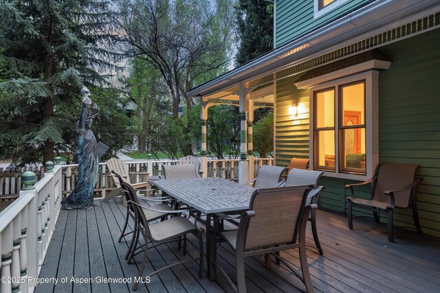 716 W Hallam St, Aspen, CO 81611 - photo 54