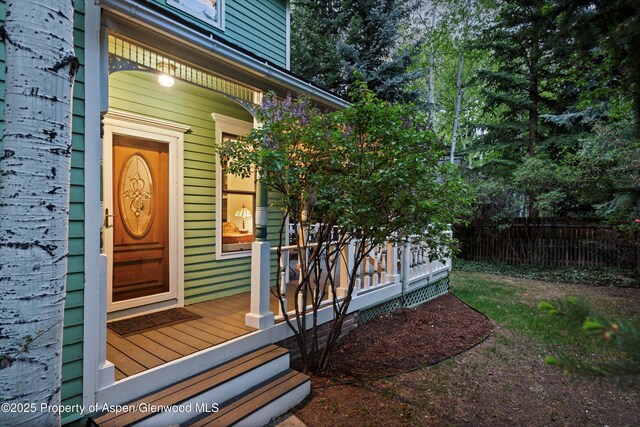 716 W Hallam St, Aspen, CO 81611 - photo 51