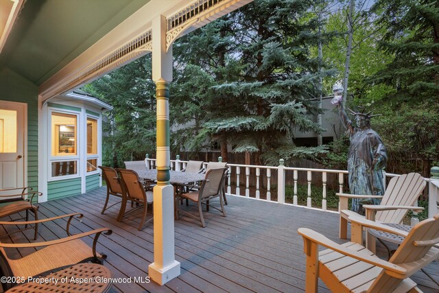 716 W Hallam St, Aspen, CO 81611 - photo 52