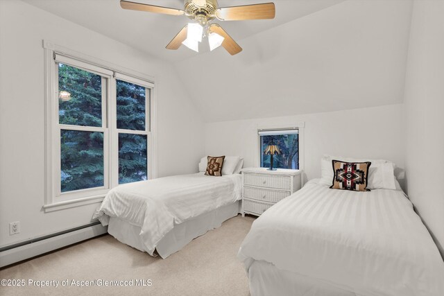 716 W Hallam St, Aspen, CO 81611 - photo 33