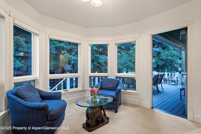 716 W Hallam St, Aspen, CO 81611 - photo 24