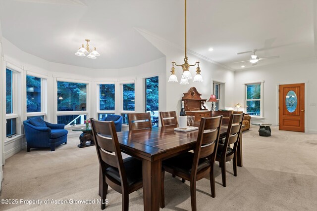 716 W Hallam St, Aspen, CO 81611 - photo 22