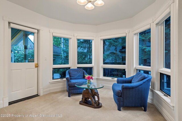 716 W Hallam St, Aspen, CO 81611 - photo 23