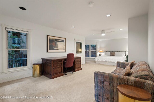 716 W Hallam St, Aspen, CO 81611 - photo 27