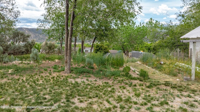 456 County Road 294, Rifle, CO 81650 - view of yard with a mountain view