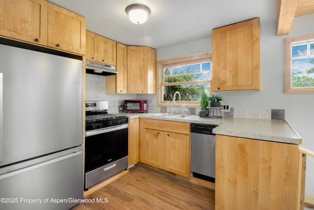 456 County Road 294, Rifle, CO 81650 - kitchen with stainless steel appliances, a sink, under cabinet range hood, light wood-style flooring, and light countertops