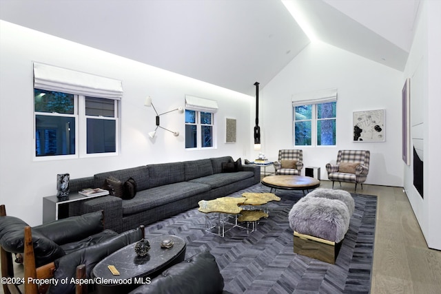 605 W Bleeker St, Aspen, CO 81611 - photo 10
