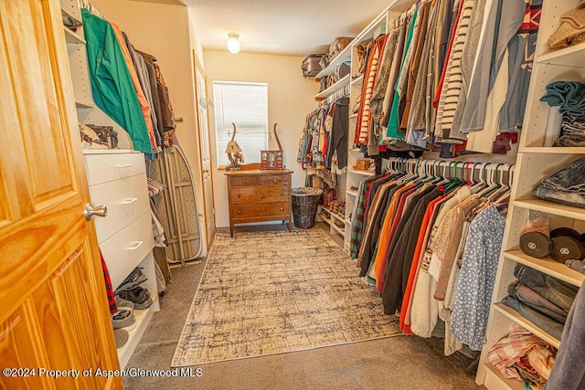 1020 Thompson Way, Craig, CO 81625 - spacious closet featuring carpet flooring