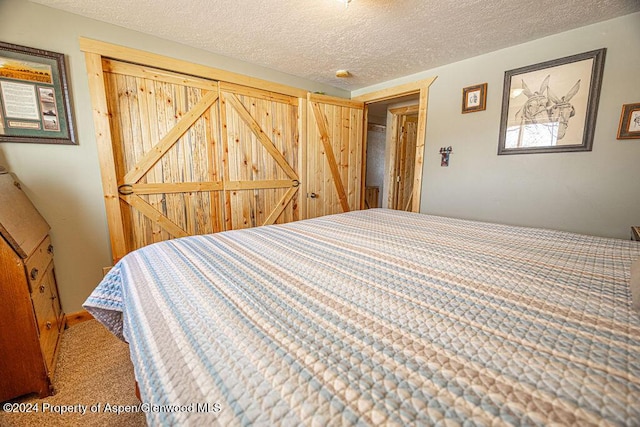 1020 Thompson Way, Craig, CO 81625 - bedroom with carpet flooring and a textured ceiling