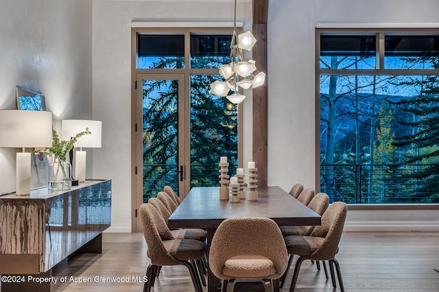 dining space with hardwood / wood-style flooring