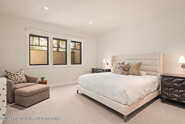 bedroom with carpet flooring