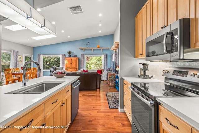 191 Navajo, Carbondale, CO 81623 - kitchen featuring stainless steel appliances, a sink, light wood-style floors, light countertops, and vaulted ceiling
