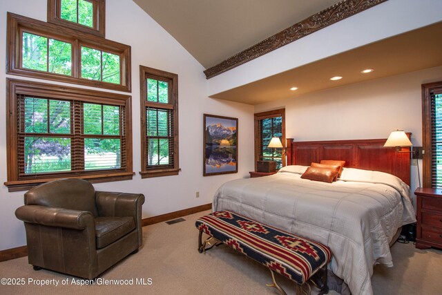 900 Bald Eagle Way, Carbondale, CO 81623 - photo 18