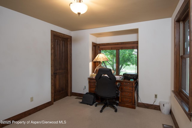 900 Bald Eagle Way, Carbondale, CO 81623 - photo 28