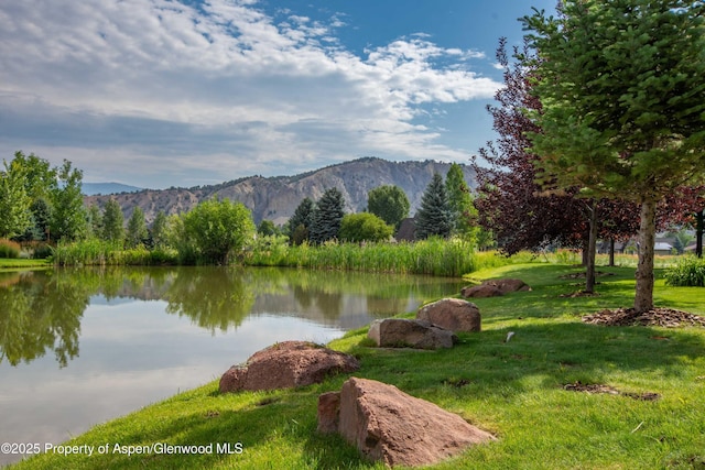 900 Bald Eagle Way, Carbondale, CO 81623 - photo 17