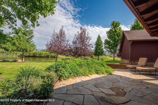 900 Bald Eagle Way, Carbondale, CO 81623 - photo 14