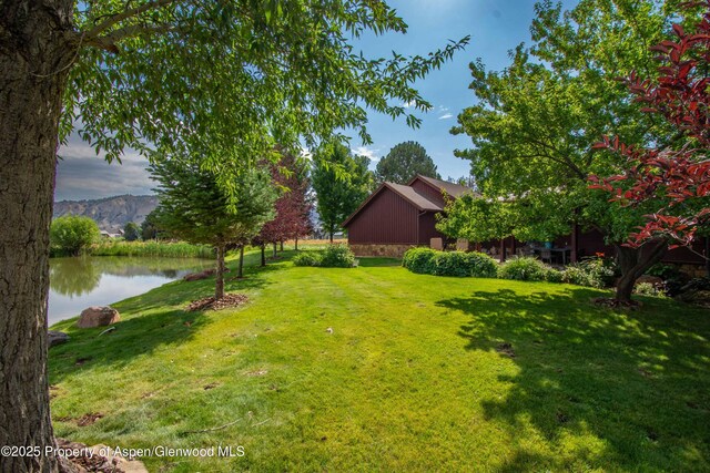 900 Bald Eagle Way, Carbondale, CO 81623 - photo 16
