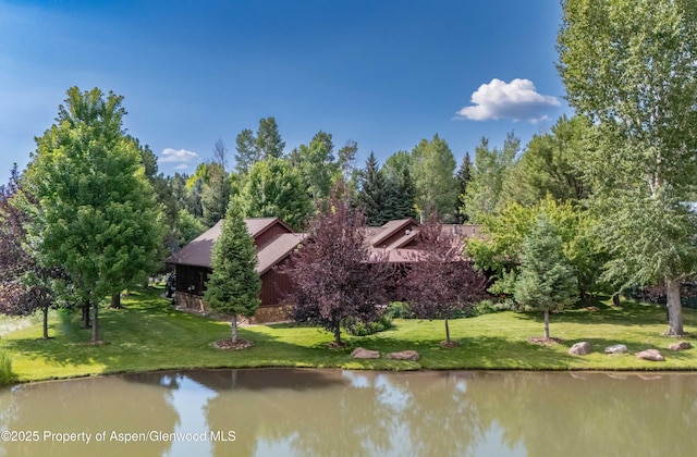 900 Bald Eagle Way, Carbondale, CO 81623 - photo 2