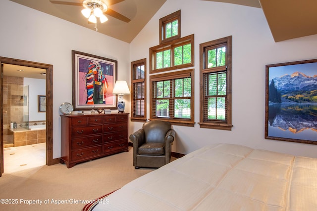 900 Bald Eagle Way, Carbondale, CO 81623 - photo 19