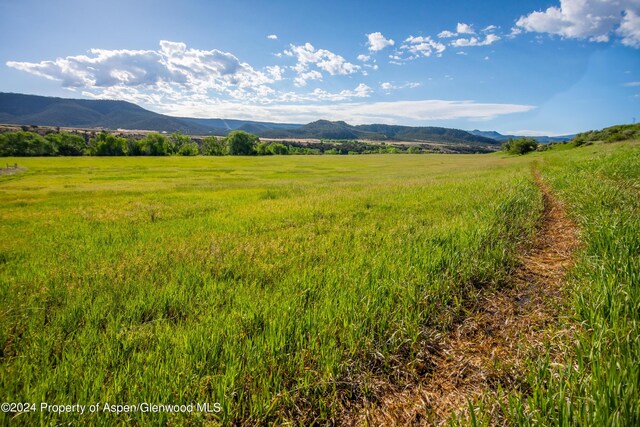 584 County Road 331, Silt, CO 81652 - photo 14