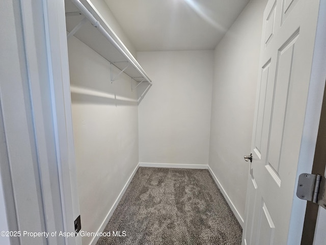 1720 Belgian Loop, Silt, CO 81652 - spacious closet featuring carpet floors