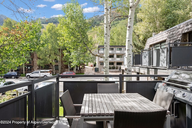 124 E Durant Ave Unit 6, Aspen, CO 81611 - photo 24