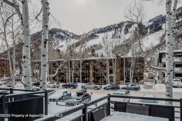 124 E Durant Ave Unit 6, Aspen, CO 81611 - view of mountain backdrop