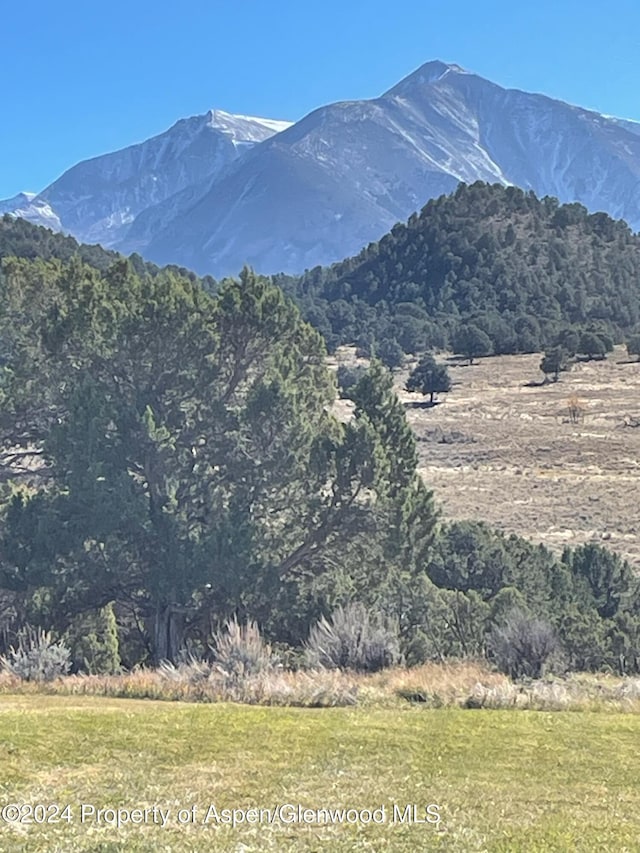 425 Stark Mesa Rd, Carbondale, CO 81623 - photo 6