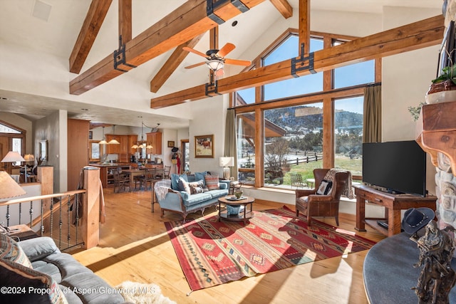 425 Stark Mesa Rd, Carbondale, CO 81623 - photo 45