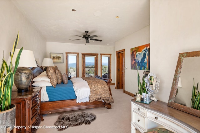 425 Stark Mesa Rd, Carbondale, CO 81623 - photo 55